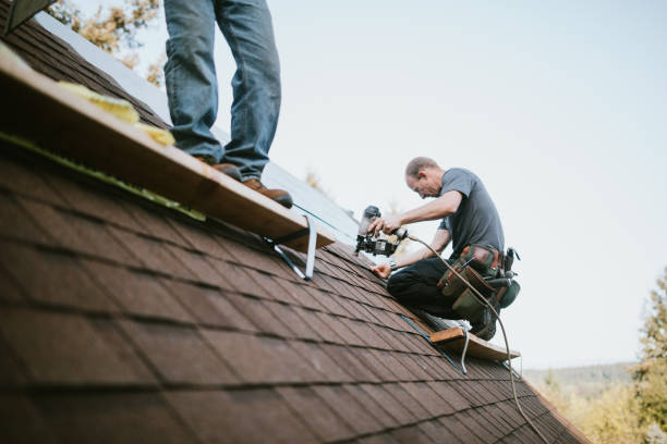 Quick and Trustworthy Emergency Roof Repair Services in Paragould, AR